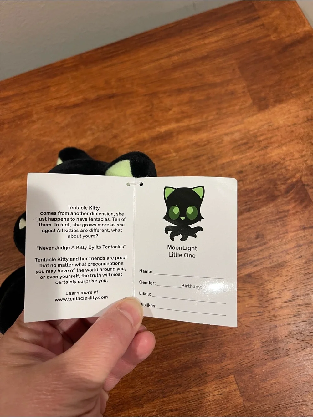 Tentacle Kitty Moonlight Little One Plush 2020 HTF Rare Glow Black Cat Green Eye